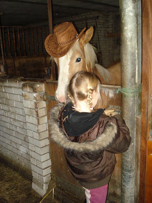 The Horse Farm2.JPG - Afbeelding van: The Horse Farm